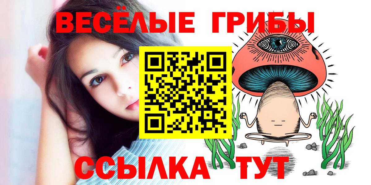 Псилоцибиновые грибы MAGIC MUSHROOMS  Вход с VPN  Галлюциногенные грибы Psilocybe  Вичуга 