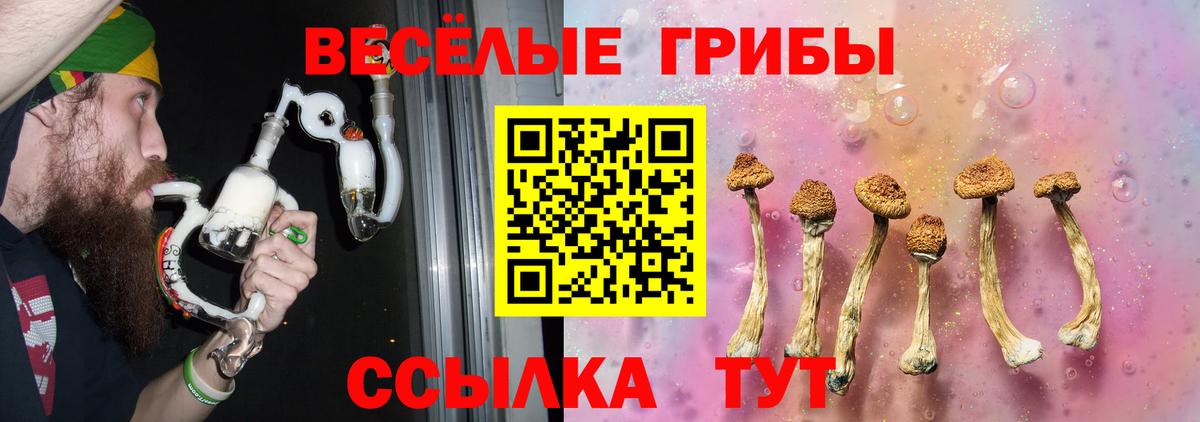 Галлюциногенные грибы Cubensis Вичуга